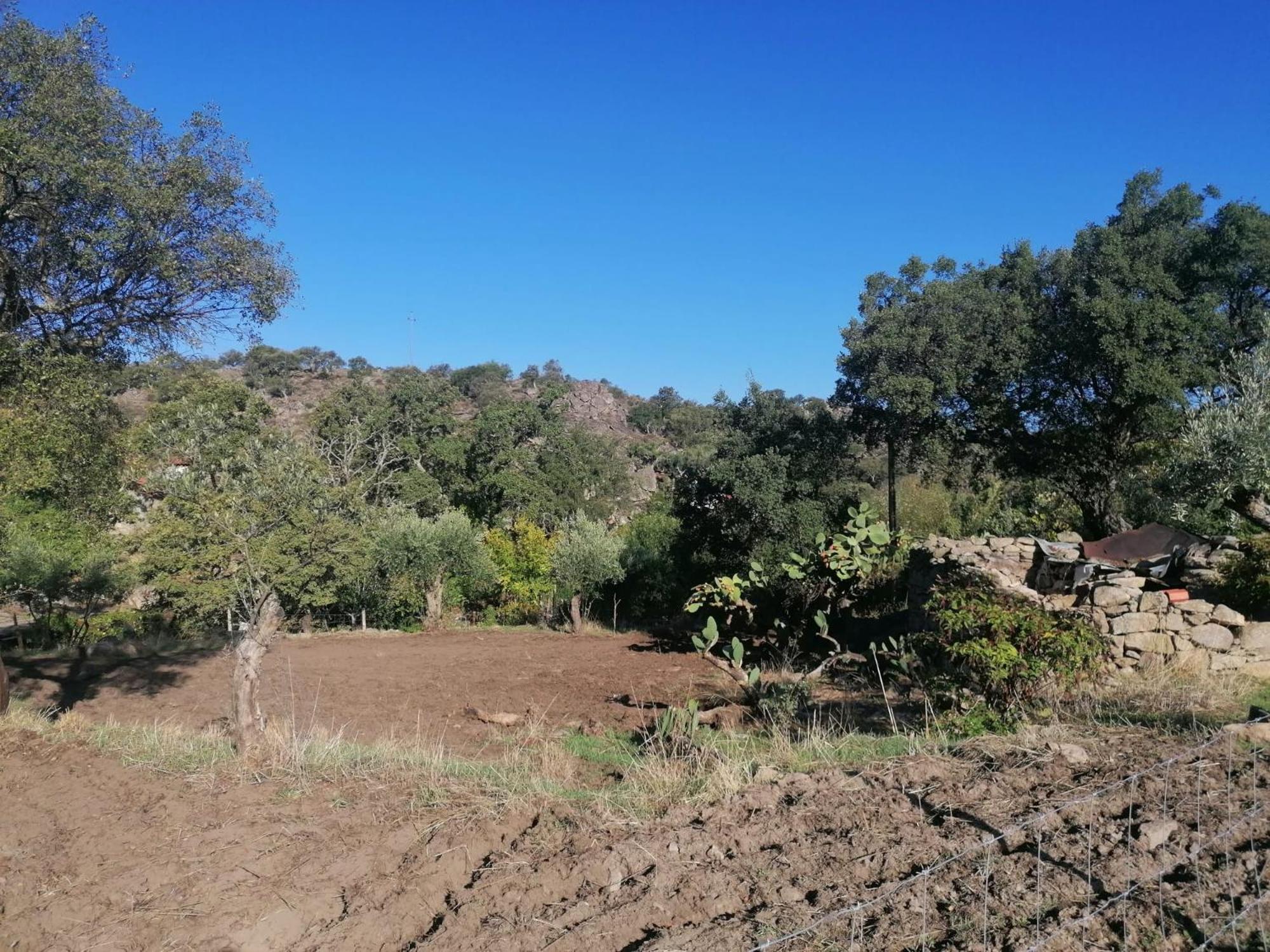 Casas De Marvao - Quinta Da Bela Vista Villa Екстериор снимка